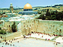 Aqsa_Sa5ra (10).jpg